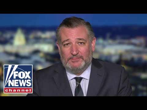 Read more about the article Sen Ted Cruz: Trump hatred has driven Dems to ‘CRAZYTOWN’
