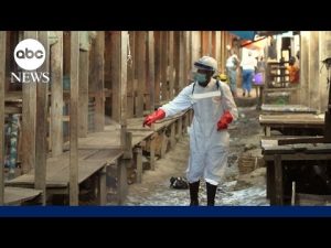 Read more about the article US doctors, nurses head to Africa to help in Ebola hot zone