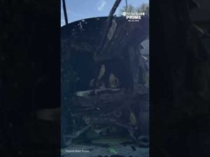 Read more about the article 13-year-old, 7-year-old among 5 killed in massive crash on I-95 in Virginia