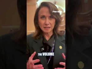 Read more about the article The internet has heightened threats to children, Louisiana’s AG says #shorts #foxnews #news #fox