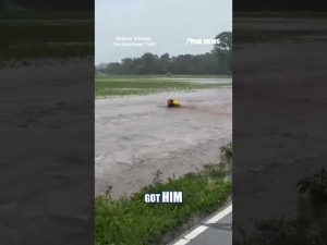 Read more about the article WATCH: A fire captain jumped into rushing floodwaters to save a baby deer