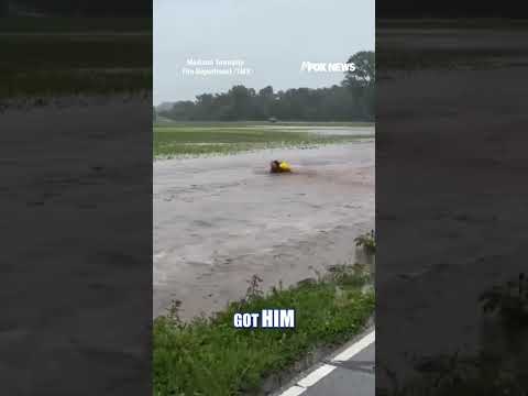 Read more about the article WATCH: A fire captain jumped into rushing floodwaters to save a baby deer