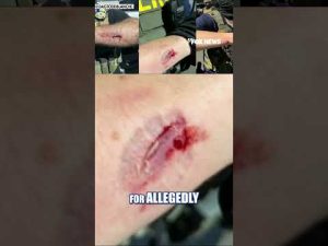 Read more about the article Anti-ICE rioter CHARGED for allegedly ATTACKING FEDERAL AGENT #foxnews #news #us #fox