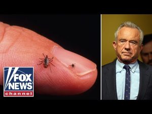 Read more about the article HHS SOUNDS ALARM as Lyme disease cases SURGE nationwide