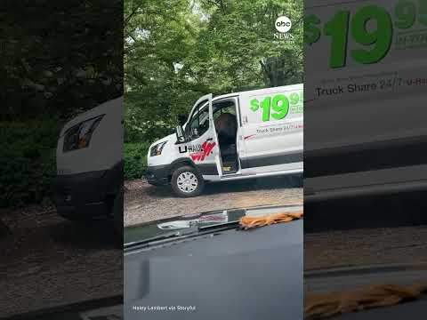 Read more about the article Bear caught red-handed stealing from van