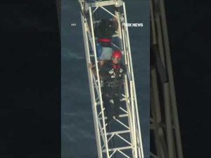 Read more about the article Roller coaster riders rescued after ride STALLS 100 feet above ground #shorts #rollercoaster #us