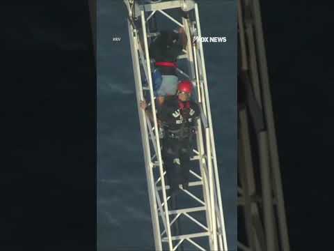 Read more about the article Roller coaster riders rescued after ride STALLS 100 feet above ground #shorts #rollercoaster #us