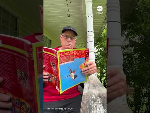 Read more about the article Hummingbird flutters around man reading book about how to attract hummingbirds