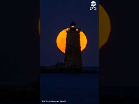 Read more about the article Timelapse footage shows full flower moon