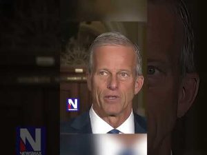 Read more about the article Greg Kelly takes a look at ‘strange guy’ John Thune