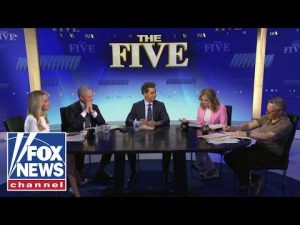 Read more about the article Kayleigh McEnany: His claims are ‘blatant mistruths’