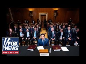 Read more about the article Rubio THROWS DOWN with Democrats in off-the-rails hearing