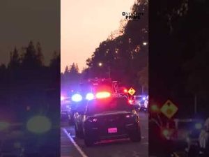 Read more about the article 18-year-old killed, 3 wounded in high school graduation shooting