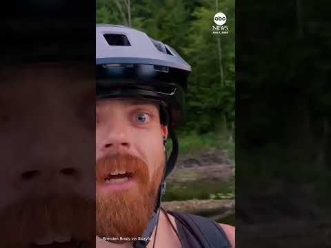Read more about the article Cyclist has close encounter with bear crossing pedestrian bridge