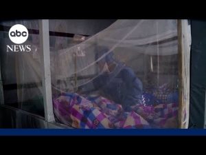 Read more about the article Two possible Ebola cases reported in Brazil