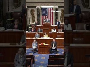 Read more about the article GOP rep accuses Rashida Tlaib of ‘advocating for TERRORISTS’ #foxnews #news #us #fox