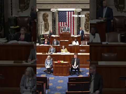 Read more about the article GOP rep accuses Rashida Tlaib of ‘advocating for TERRORISTS’ #foxnews #news #us #fox