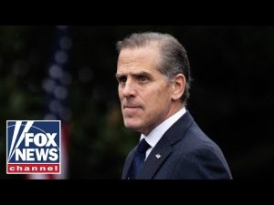 Read more about the article ‘LFG’: Hunter Biden signals possible 2028 run