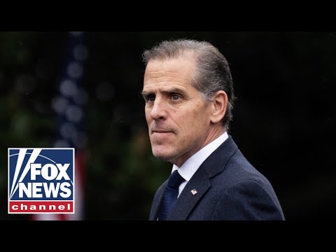 Read more about the article ‘LFG’: Hunter Biden signals possible 2028 run