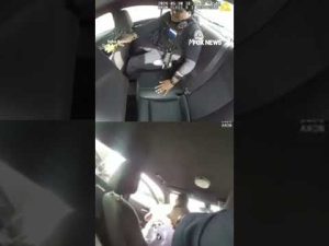Read more about the article Handcuffed suspect STEALS police cruiser with OFFICER INSIDE #foxnews #news #us #fox