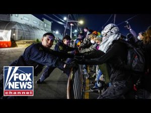 Read more about the article Protests RAGE as Dems call for closure of ICE facility: ‘Cooking up a problem’