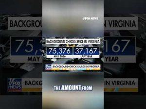 Read more about the article Virginia gun sales SURGE ahead of SWEEPING BAN #foxnews #news #us #fox