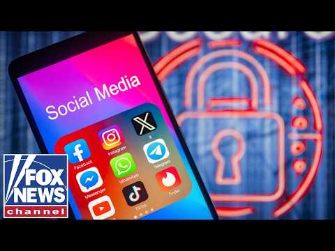 Read more about the article The hackers were able to ‘MANIPULATE’ the AI platform, says cybersecurity expert
