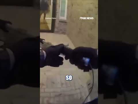 Read more about the article Homeowner comes FACE-TO-FACE with alligator at front door #foxnews #news #shorts #house #animals