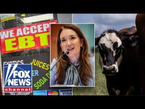 Read more about the article SNAP CRACKDOWN: Trump administration targets alleged food stamp fraud