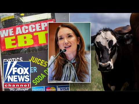 Read more about the article SNAP CRACKDOWN: Trump administration targets alleged food stamp fraud