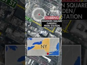 Read more about the article Suspect in custody after stabbing six in Penn Station #shorts #us #news #foxnews #stabbing