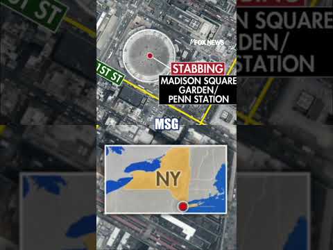 Read more about the article Suspect in custody after stabbing six in Penn Station #shorts #us #news #foxnews #stabbing