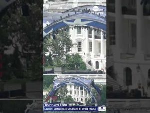Read more about the article Lawsuit says it seeks to stop ‘deeply corrupt’ UFC event at White House