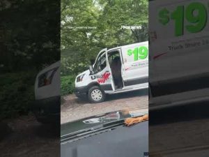 Read more about the article SEE IT: Bear in North Carolina was recorded breaking into a parked U-Haul van #shorts #news #usa