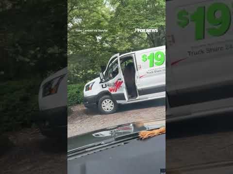 Read more about the article SEE IT: Bear in North Carolina was recorded breaking into a parked U-Haul van #shorts #news #usa
