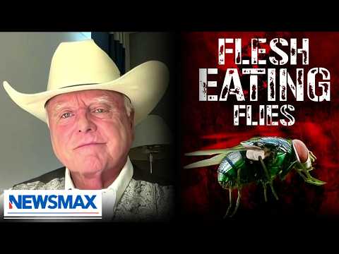Read more about the article Screwworm outbreak ‘coming’: TX agriculture commissioner warns