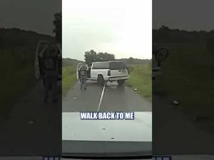 Read more about the article NEW: Traffic stop turns into a chase — and deputies say it ended with a Grappler #police #shorts