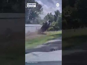 Read more about the article Baby ejected from vehicle during Arkansas police chase crash