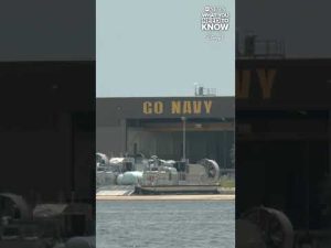 Read more about the article Navy base employee attacked by shark in Florida
