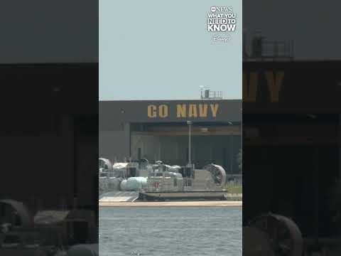 You are currently viewing Navy base employee attacked by shark in Florida