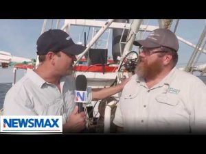 Read more about the article High costs, cheap imports threaten U.S. shrimpers | Wake Up America
