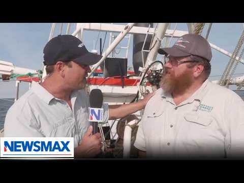 You are currently viewing High costs, cheap imports threaten U.S. shrimpers | Wake Up America