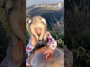 Read more about the article Girl with no musical training stuns with handpan talent