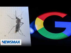 Read more about the article Why does Google want to release millions of mosquitoes across U.S.? Epidemiologist reacts