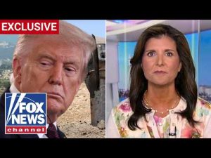 Read more about the article ‘A LOT OF PAIN’: Trump should put Russia, China on notice over Iran, Nikki Haley says