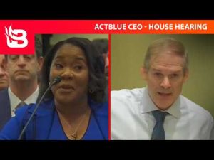 Read more about the article WATCH: ActBlue CEO “Pleads the 5th” to EVERY Question at Shocking House Hearing