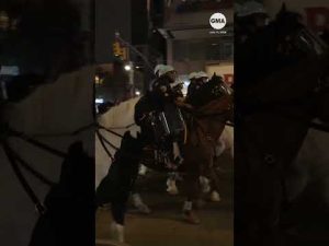 Read more about the article Rowdy fans pour into NYC streets after NBA Finals game