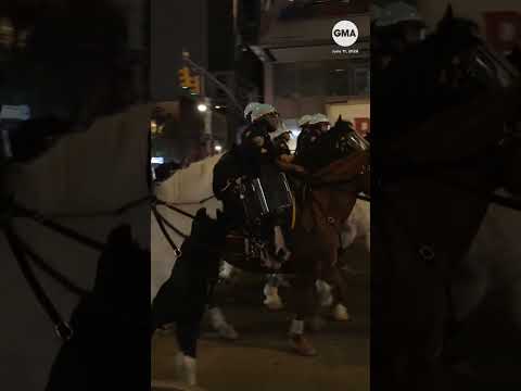 You are currently viewing Rowdy fans pour into NYC streets after NBA Finals game
