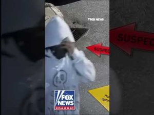 Read more about the article NEW: Video shows two suspects wanted in the murder of a Penn State student #shorts #foxnews #news
