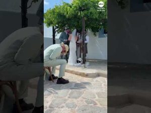 Read more about the article Adorable dog chooses bride for wedding day nap